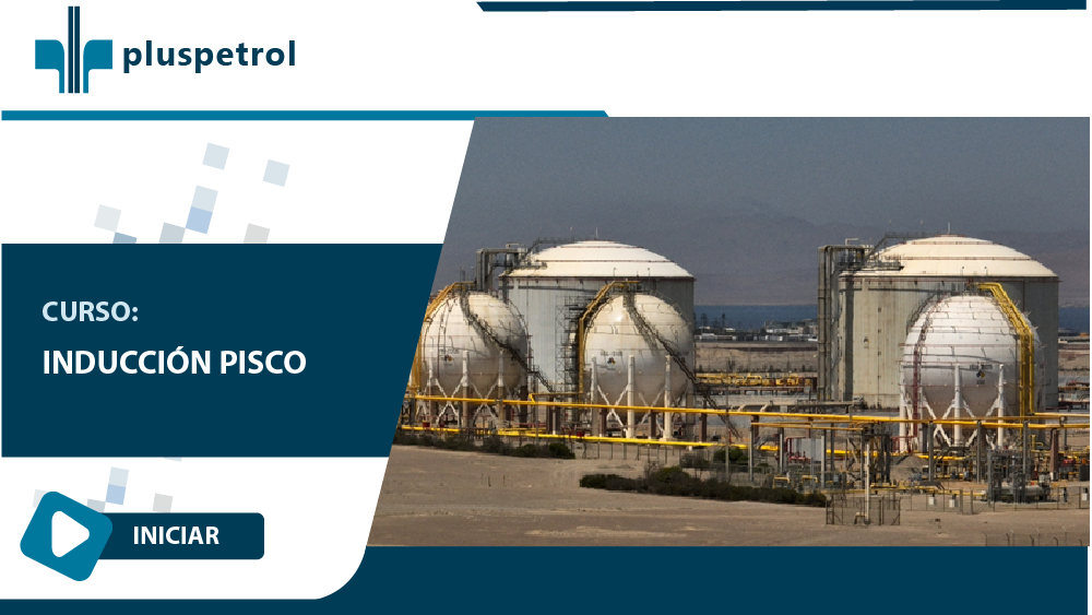 INDUCCIÓN PISCO