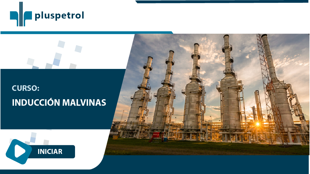 INDUCCIÓN MALVINAS